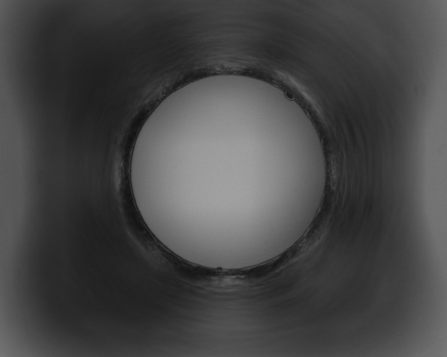 X0000100500451200806130733