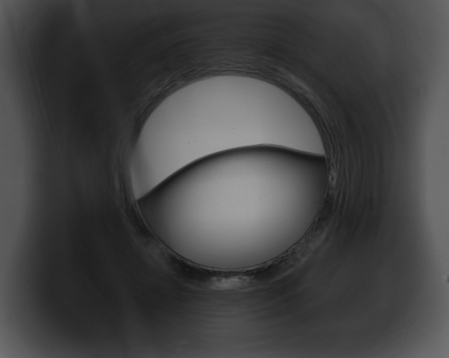 X0000100500452200806130733