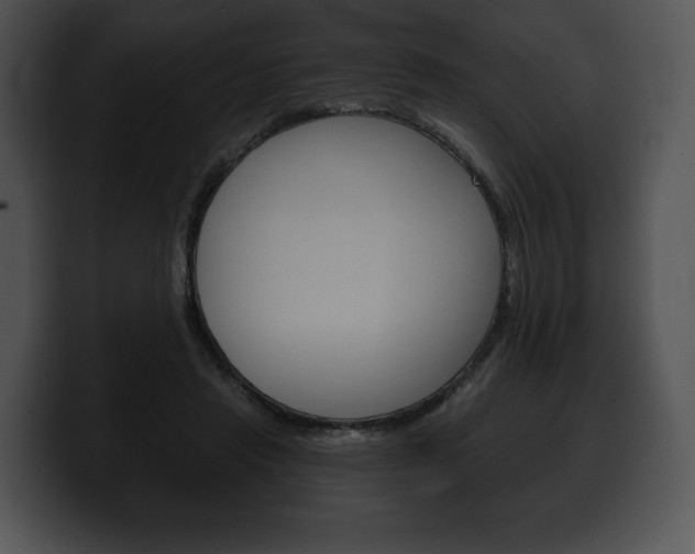 X0000100500453200806130733
