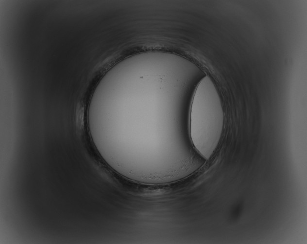 X0000100500454200806130733