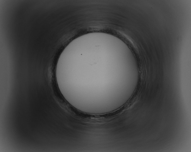 X0000100500455200806130733