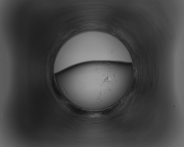 X0000100500456200806130733