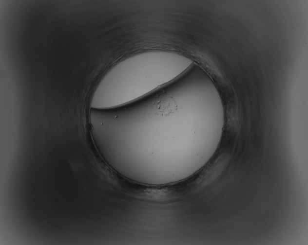 X0000100500457200806130733
