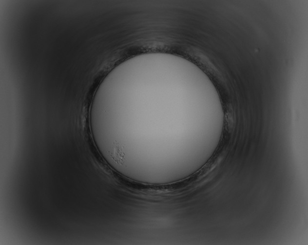 X0000100500458200806130733