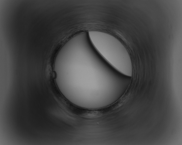 X0000100500459200806130733