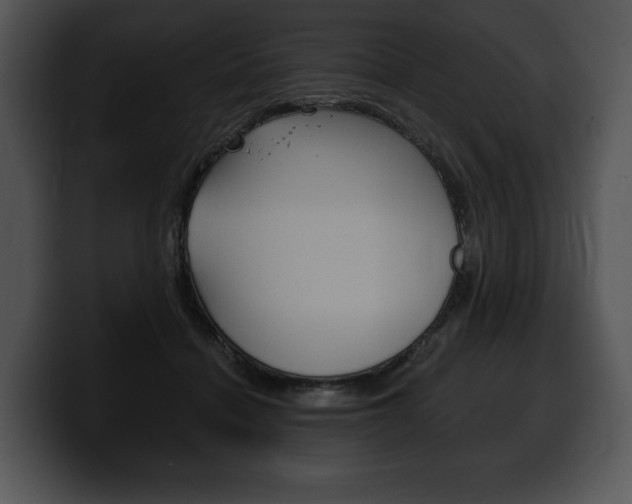X0000100500460200806130733