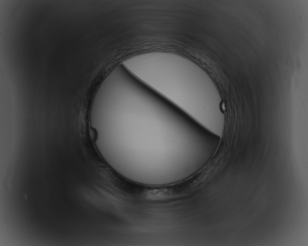 X0000100500461200806130733
