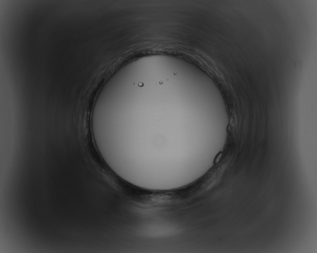 X0000100500462200806130733