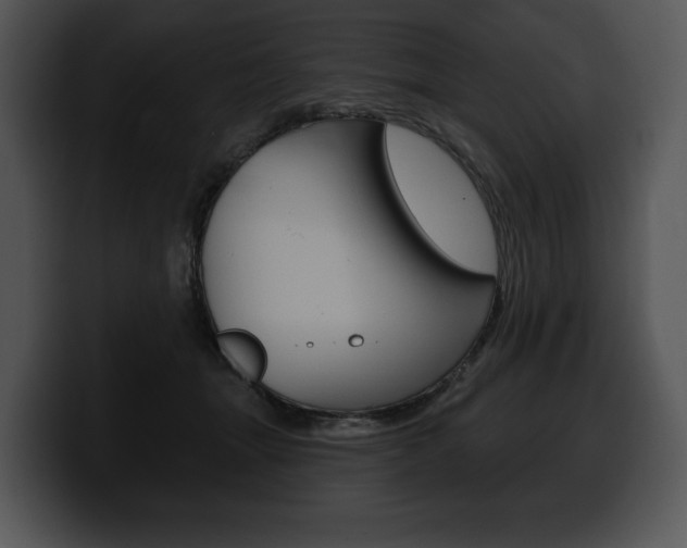 X0000100500463200806130733