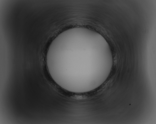 X0000100500464200806130733