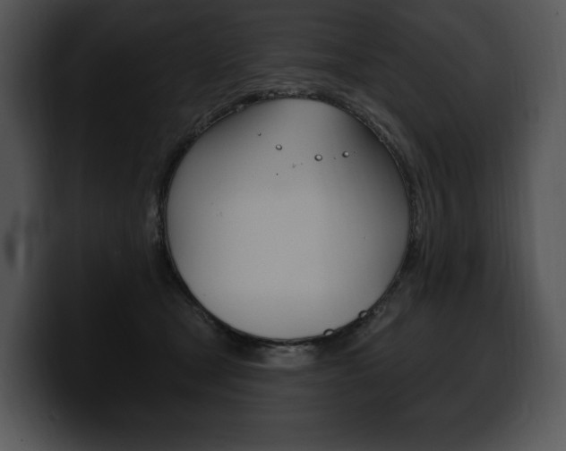 X0000100500465200806130733