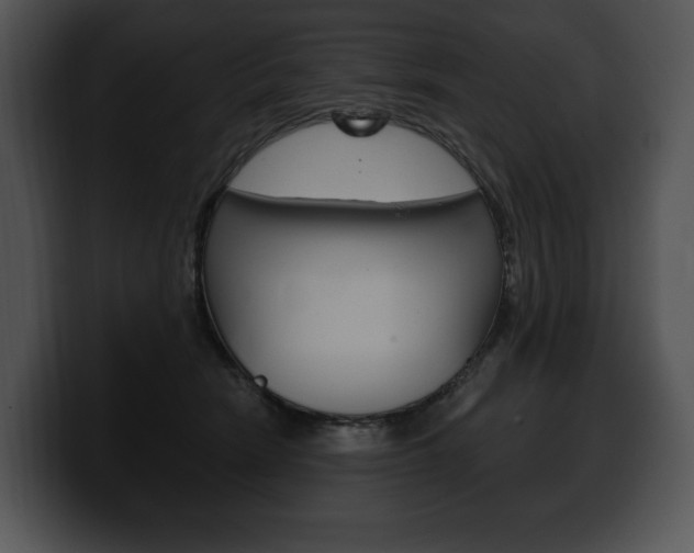 X0000100500466200806130733