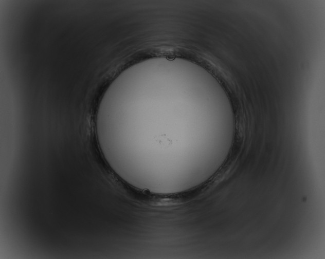 X0000100500467200806130733