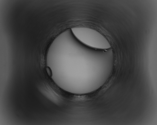 X0000100500469200806130733