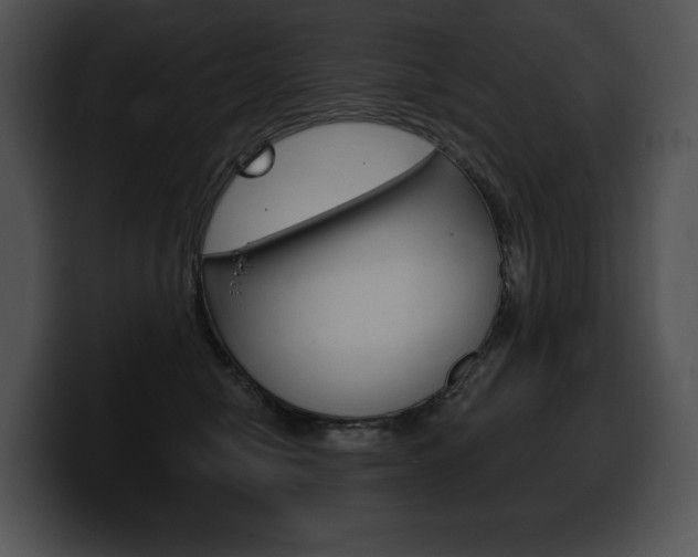 X0000100500470200806130733