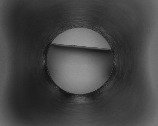 X0000100500471200806130733