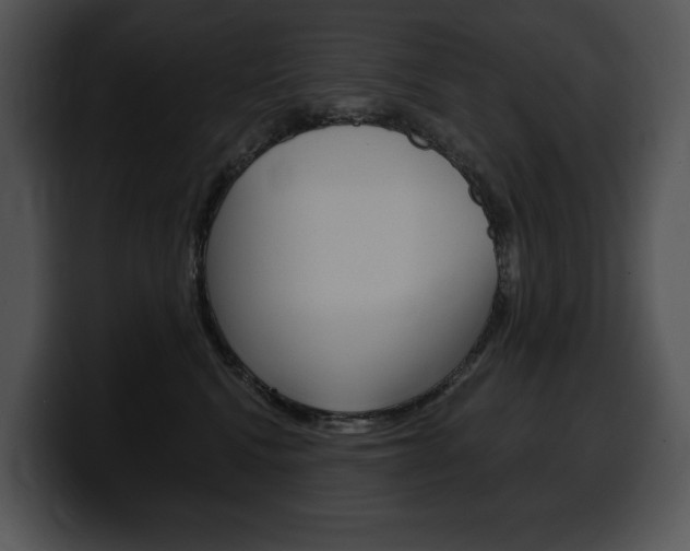 X0000100500472200806130733