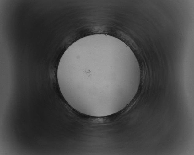 X0000100500473200806130733