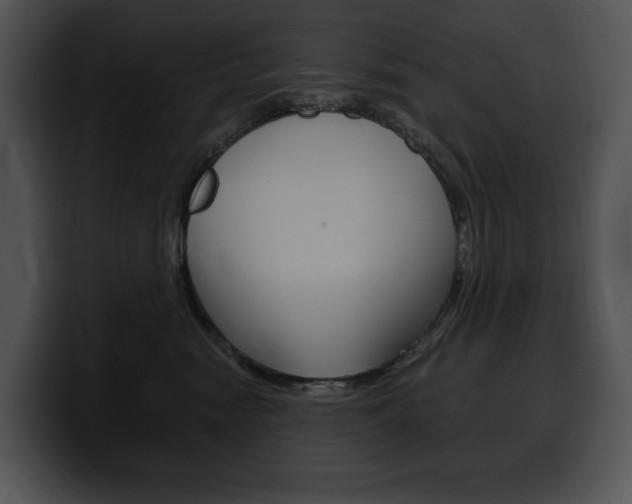 X0000100500474200806130733