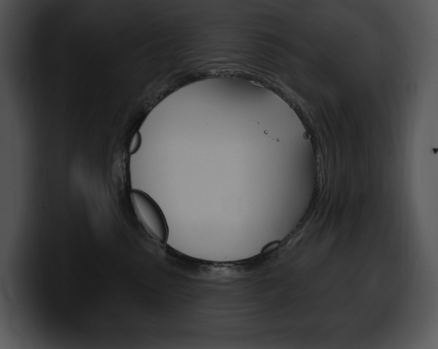 X0000100500475200806130733