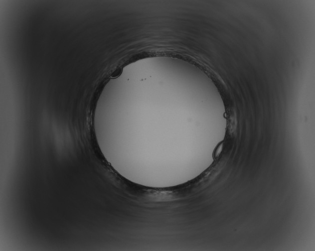 X0000100500476200806130733