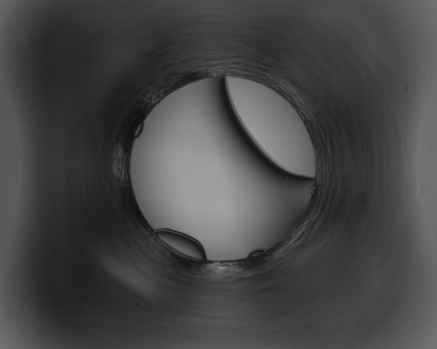 X0000100500477200806130733