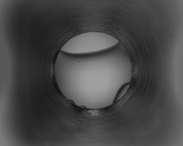 X0000100500478200806130733