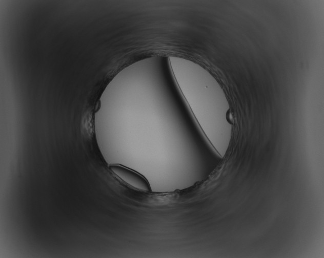 X0000100500479200806130733