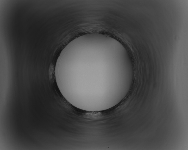 X0000100500480200806130733