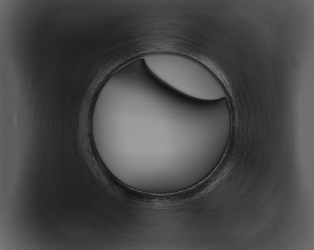 X0000100500481200806130732