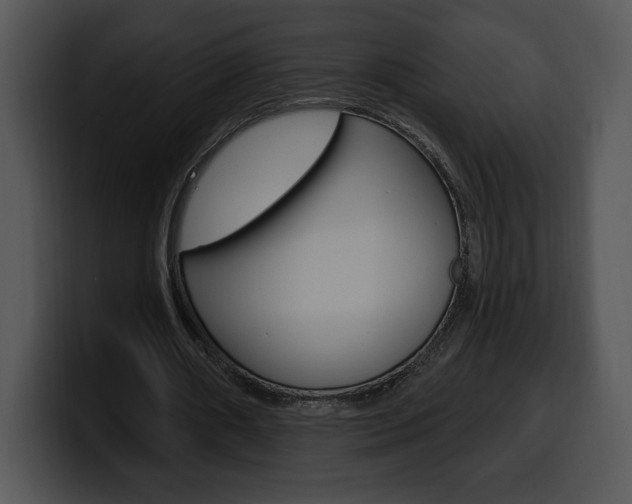 X0000100500482200806130732