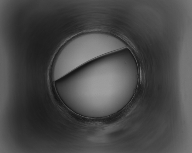 X0000100500483200806130732