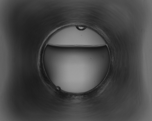 X0000100500484200806130732