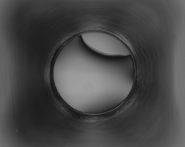 X0000100500485200806130732
