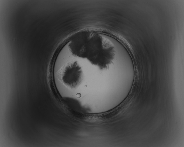 X0000100500487200806130732