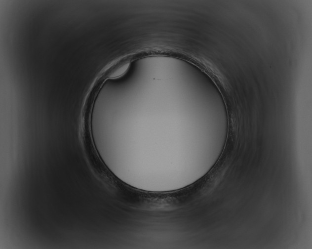 X0000100500488200806130732