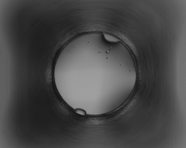 X0000100500489200806130732