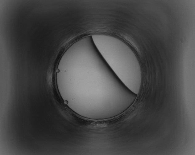X0000100500491200806130732