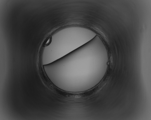 X0000100500492200806130732