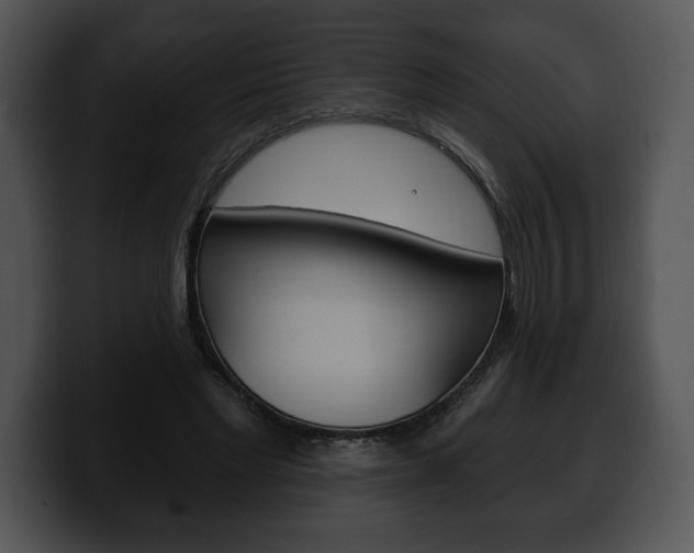 X0000100500493200806130732