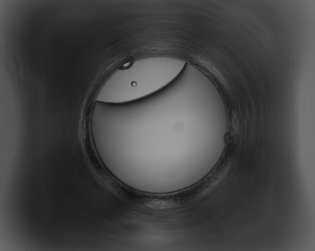 X0000100500494200806130732