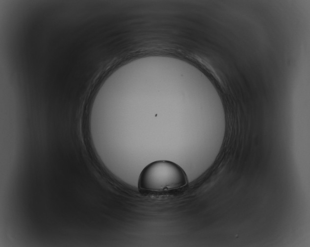 X0000100500495200806130732