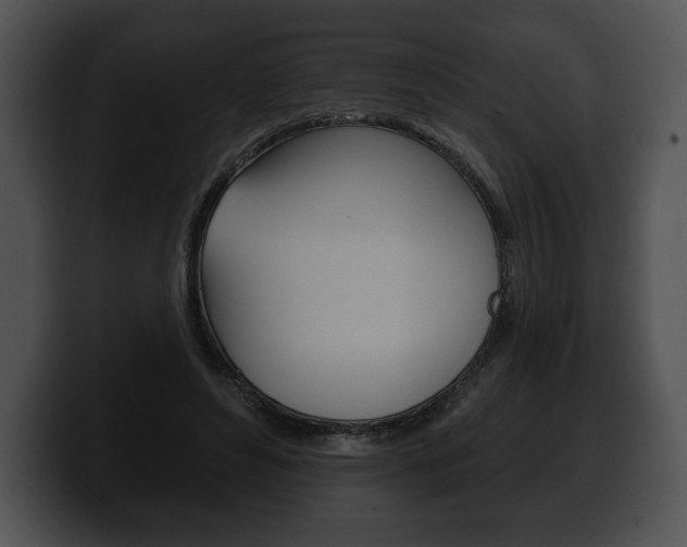 X0000100500496200806130732