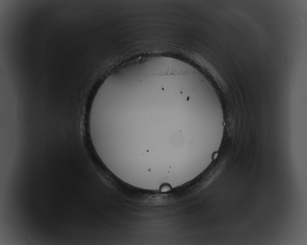 X0000100500497200806130732