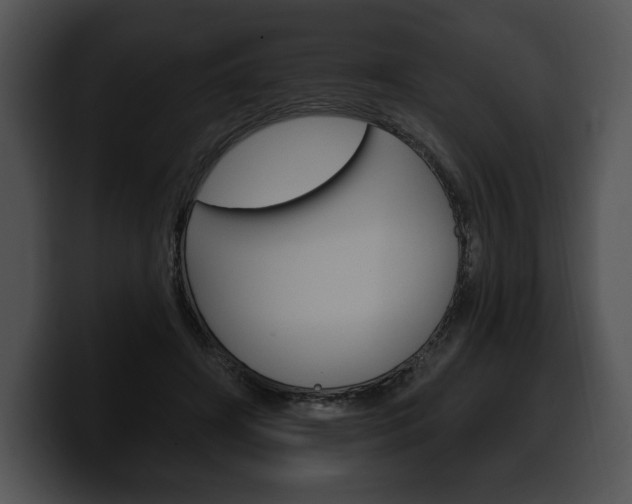 X0000100500498200806130732
