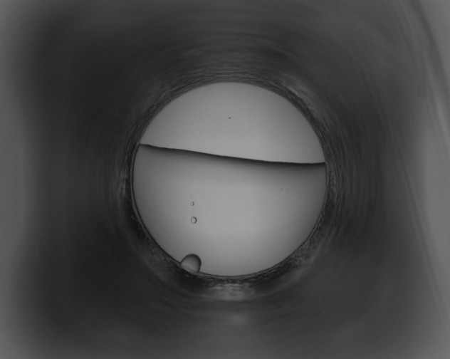 X0000100500499200806130732