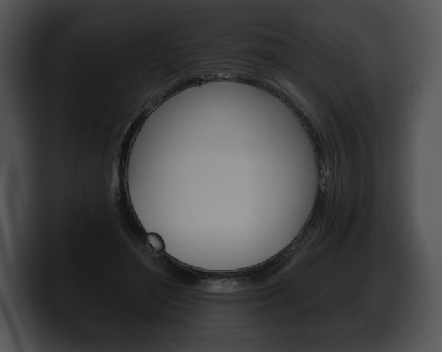 X0000100500500200806130732
