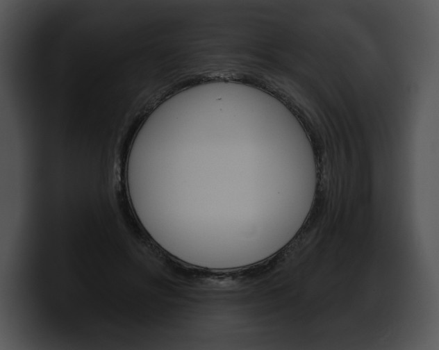 X0000100500502200806130732