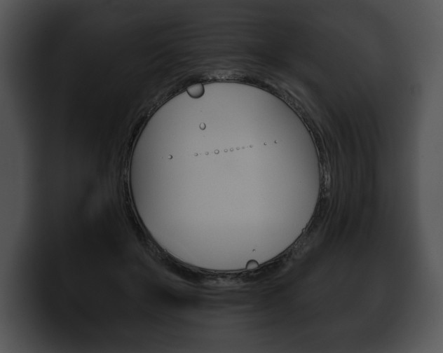 X0000100500503200806130732