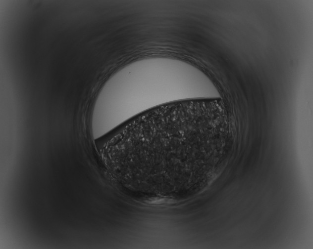 X0000100500504200806130732